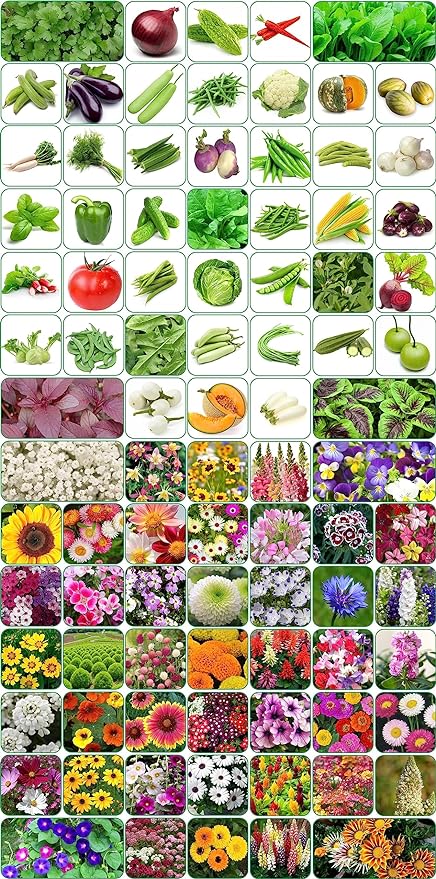 Gardening centre Seeds 90 variety(45 flower and 45 vegetable) seeds combo pack