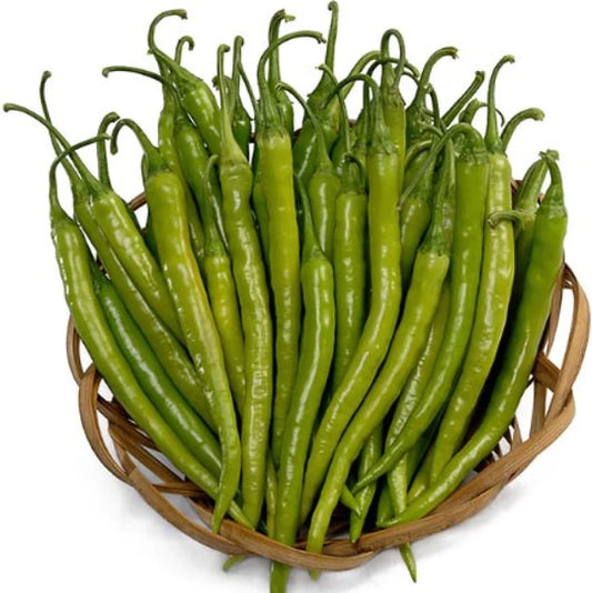Chilli(मिर्च) jawala Seeds Long seeds