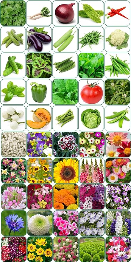 Gardening Centre Seeds 50 variety(25 flower and 25 vegetable) seeds