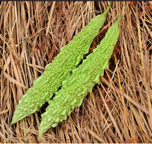 Bitter Gourd/करेला Light Green(whitish) Seeds