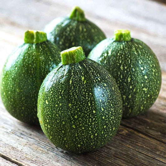 Summer Squash Round Dark Green F1 Hybrid Zucchini Seeds (Chappan Kaddu)