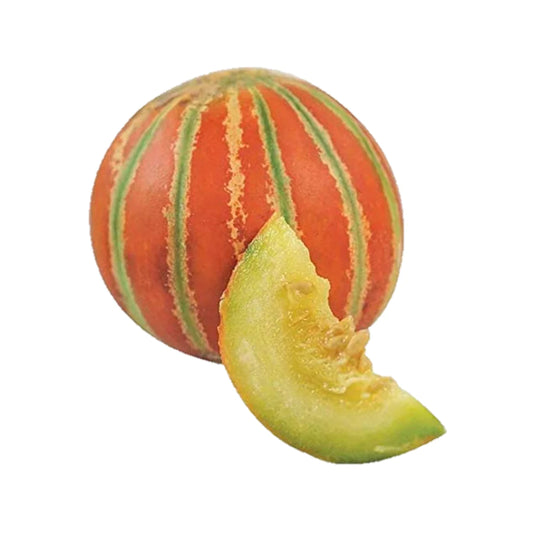 MUSKMELON F1  Hybrid SEEDS/खरबूजा के बीज