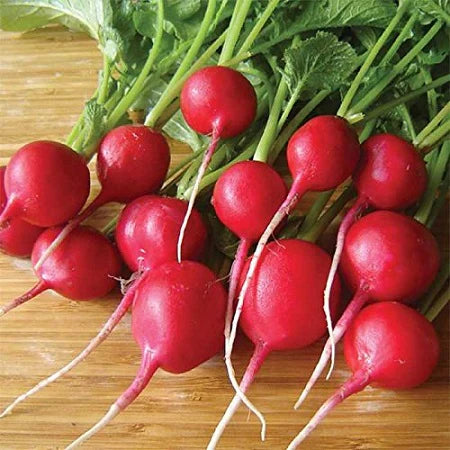 Radish/Mooli Scarlet Red Globe(लाल गोल मुली)