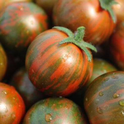 Heritage Tomato Black Zebra Cherry Seeds