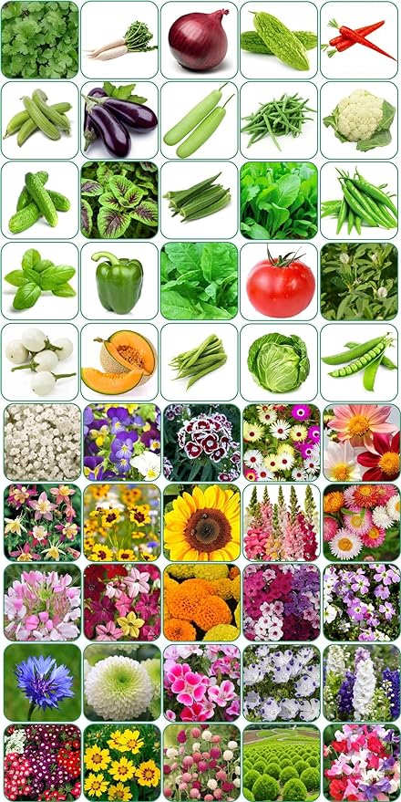 Gardening  Centre Seeds 50 variety(25 flower and 25 vegetable) seeds