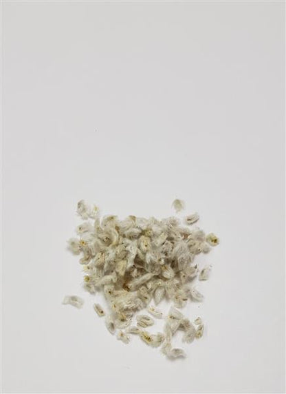 Acroclinium Seeds