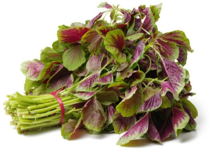 Amaranthus Peacock Double colour seeds/ साग के बीज