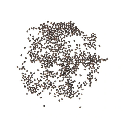 Antirrhinum Semi Tall Mix Seeds / SnapDragon Flowers Seeds