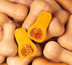 BUTTERNUT  F1 Hybrid CALIFORNIA Squash Imported Seeds