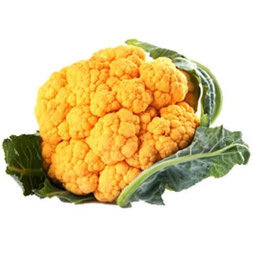 Fulgobhi/Cauliflower Yellow F1 Hybrid