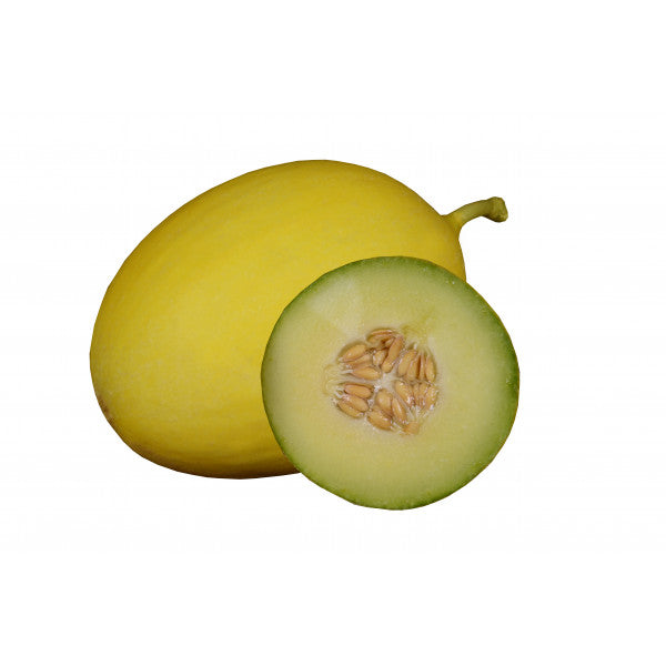 Muskmelon Canary Green imported Seeds(खरबूजा के बीज)