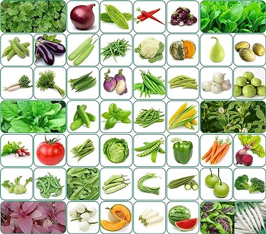 Gardening Centre 51 variety vegetable seeds combo pack