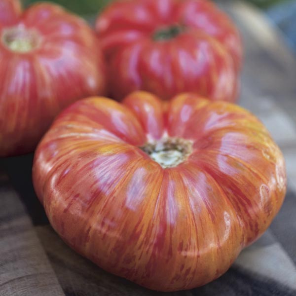 Tomato Stripped German  Seeds (Tomato Seeds)