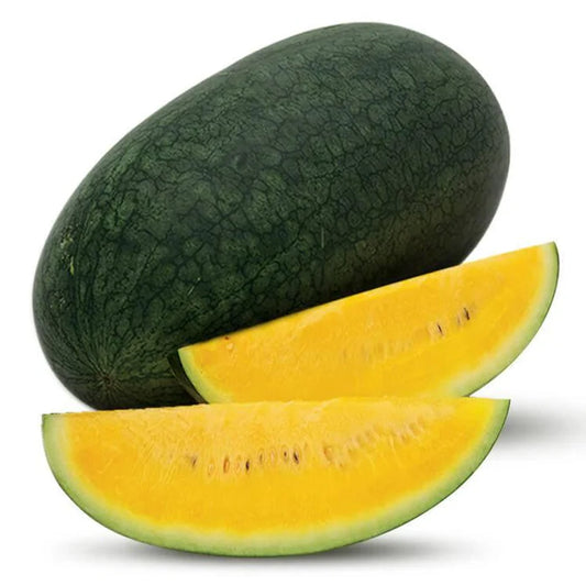 Watermelon Yellow Flash Icebox type Hybrid imported seeds(पीला तरबूज के बीज)