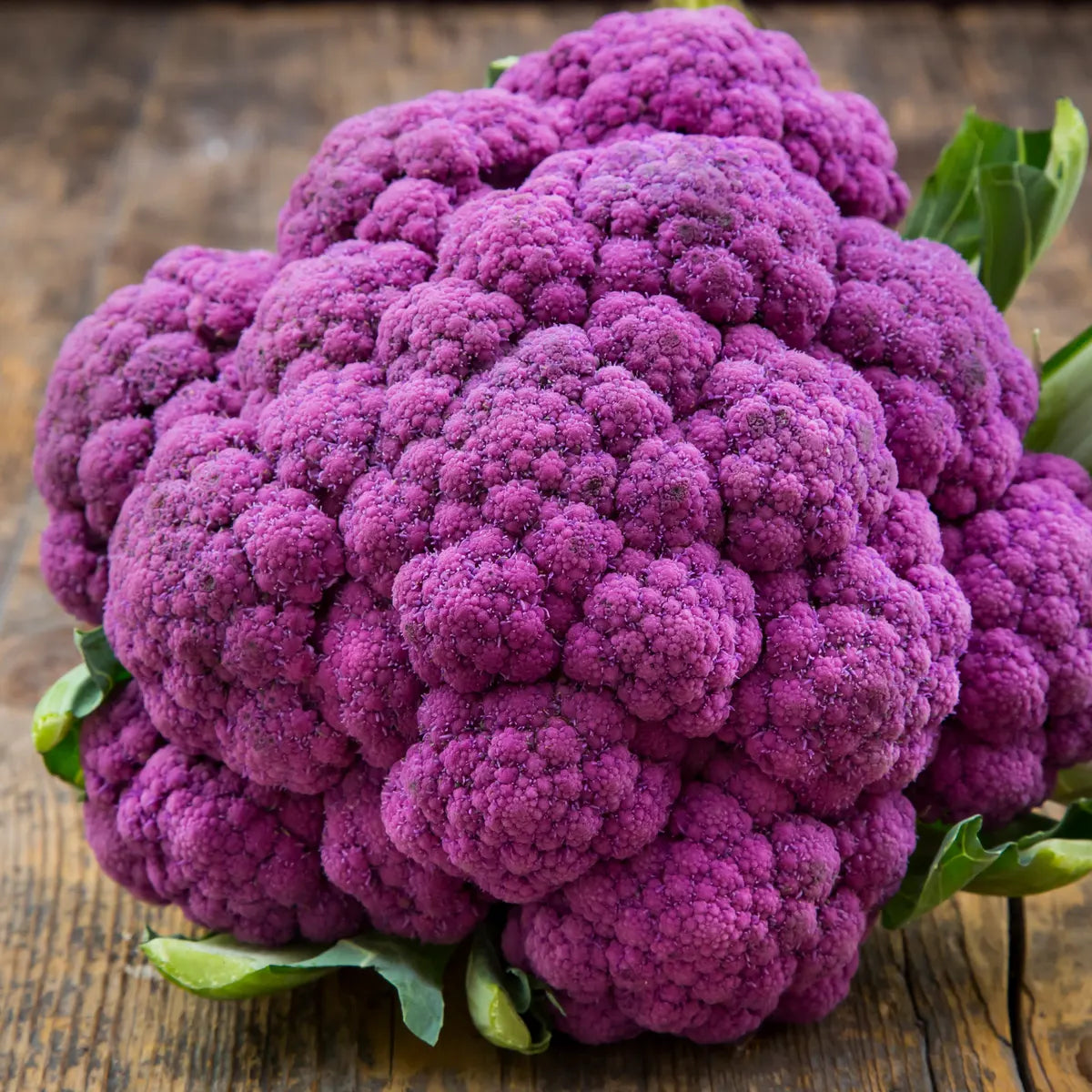 Purple Cauliflower(बैंगनी फूलगोभी) F1 Hybrid Seeds