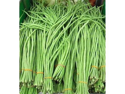 High yield Hybrid Yard Long Bean/लोबिया Seeds